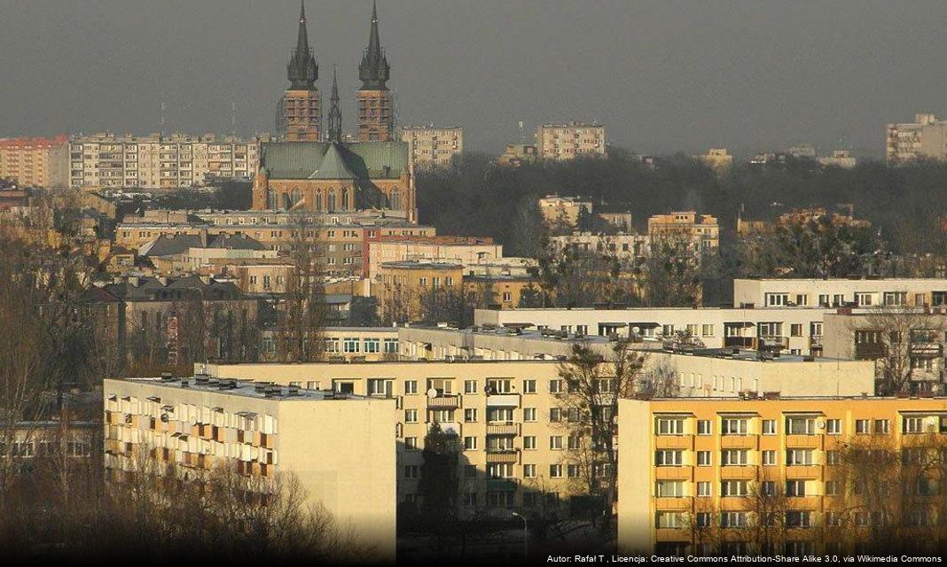 Głosowanie na Międzynarodowy Festiwal Artystów Ulicznych i Precyzji w Radomiu