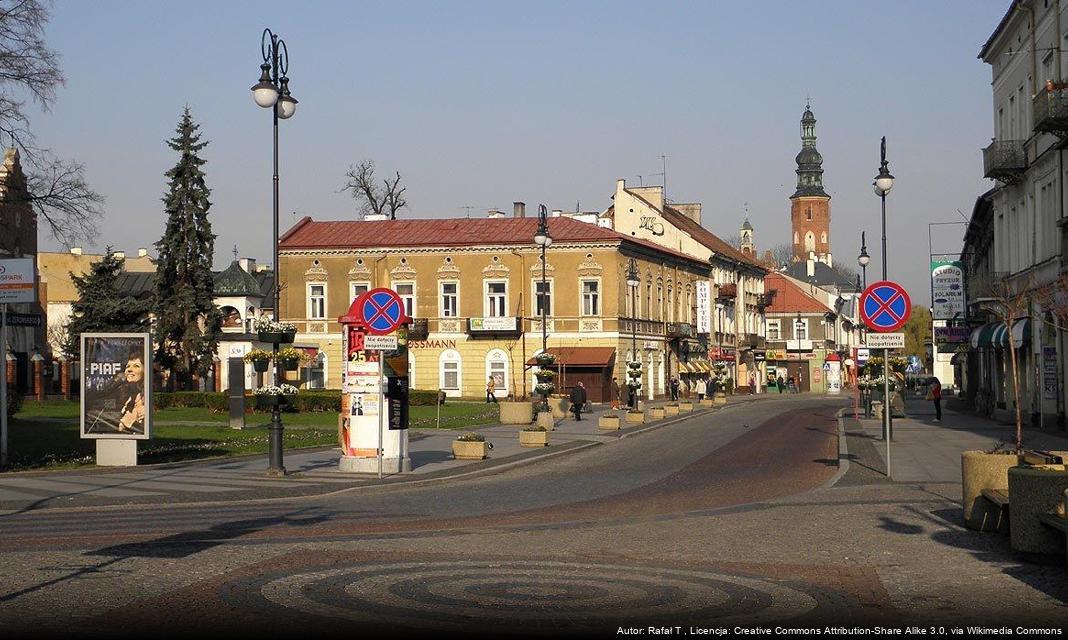 Spotkanie dotyczące renowacji zabytków w Radomiu